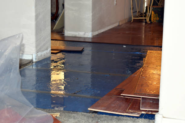 Professional Sewage Cleanup technician working in Albany, NY